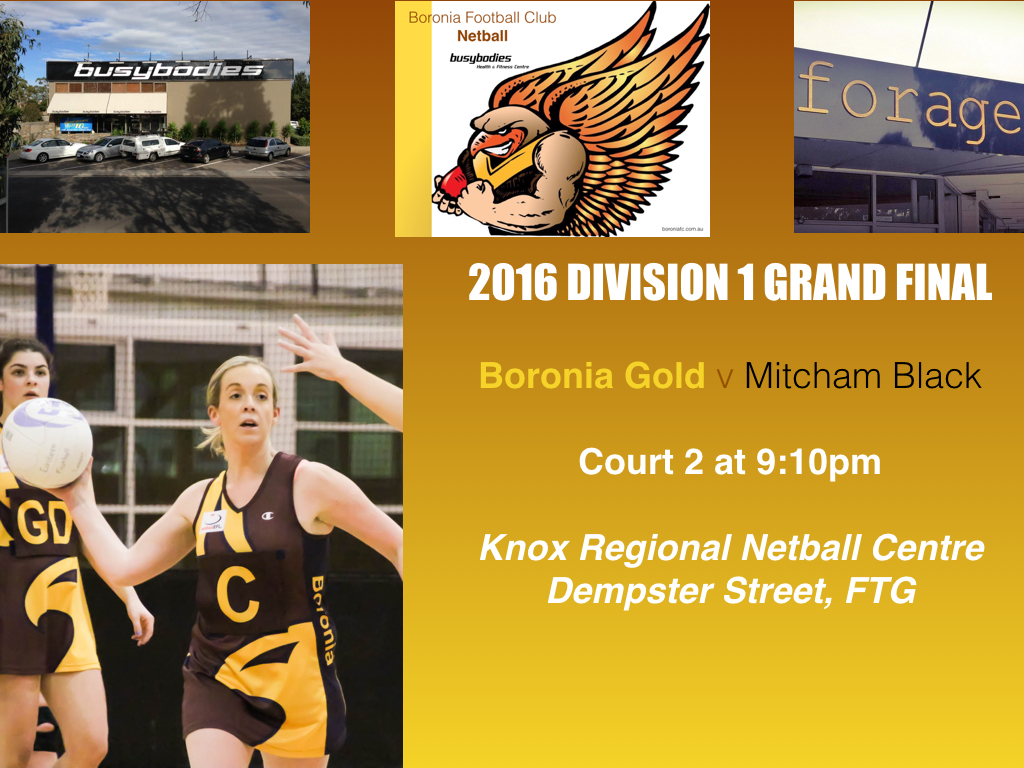 Netball Grand Final Flyer v2.001